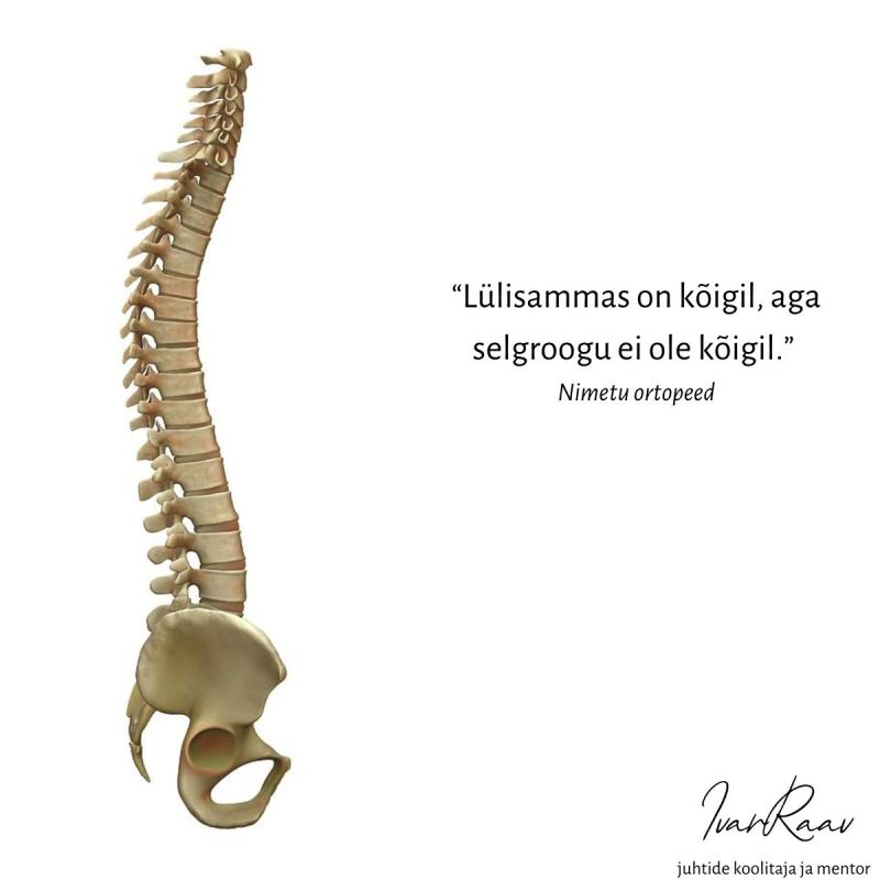 Everyone has a cranial spine, but not everyone has a backbone.